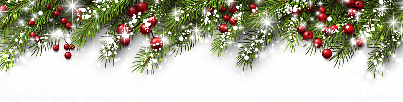 2025 - the year that was